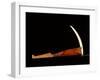 Pick made from a walrus tusk point lashed to a wooden handle-Werner Forman-Framed Giclee Print