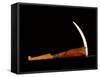 Pick made from a walrus tusk point lashed to a wooden handle-Werner Forman-Framed Stretched Canvas