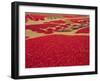 Picked Red Chilli Peppers Laid out to Dry, Rajasthan, India-Bruno Morandi-Framed Photographic Print