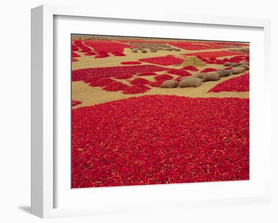 Picked Red Chilli Peppers Laid out to Dry, Rajasthan, India-Bruno Morandi-Framed Photographic Print