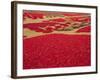 Picked Red Chilli Peppers Laid out to Dry, Rajasthan, India-Bruno Morandi-Framed Photographic Print