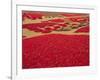 Picked Red Chilli Peppers Laid out to Dry, Rajasthan, India-Bruno Morandi-Framed Photographic Print