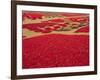 Picked Red Chilli Peppers Laid out to Dry, Rajasthan, India-Bruno Morandi-Framed Photographic Print