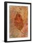 Picked Up Autumn Leaf I-Cora Niele-Framed Giclee Print