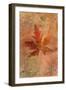 Picked Up Autumn Leaf II-Cora Niele-Framed Giclee Print