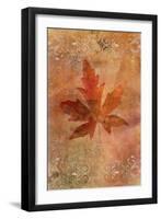 Picked Up Autumn Leaf II-Cora Niele-Framed Giclee Print