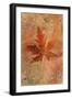 Picked Up Autumn Leaf II-Cora Niele-Framed Giclee Print