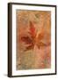 Picked Up Autumn Leaf II-Cora Niele-Framed Giclee Print