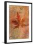 Picked Up Autumn Leaf II-Cora Niele-Framed Giclee Print