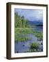 Pickerel Weed, Pontook Reservoir, Androscoggin River, New Hampshire, USA-Jerry & Marcy Monkman-Framed Photographic Print