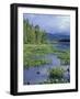 Pickerel Weed, Pontook Reservoir, Androscoggin River, New Hampshire, USA-Jerry & Marcy Monkman-Framed Photographic Print