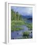 Pickerel Weed, Pontook Reservoir, Androscoggin River, New Hampshire, USA-Jerry & Marcy Monkman-Framed Photographic Print