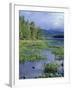 Pickerel Weed, Pontook Reservoir, Androscoggin River, New Hampshire, USA-Jerry & Marcy Monkman-Framed Photographic Print