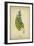 Pickerel Weed-null-Framed Art Print