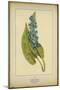 Pickerel Weed-null-Mounted Art Print