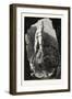 Pickering Tor, Dove Dale, , Peak District, England, UK-null-Framed Giclee Print