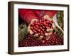 Pickers, Hands Full of Coffee Cherries, Coffee Farm, Slopes of the Santa Volcano, El Salvador-John Coletti-Framed Photographic Print