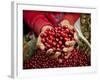 Pickers, Hands Full of Coffee Cherries, Coffee Farm, Slopes of the Santa Volcano, El Salvador-John Coletti-Framed Photographic Print