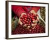 Pickers, Hands Full of Coffee Cherries, Coffee Farm, Slopes of the Santa Volcano, El Salvador-John Coletti-Framed Photographic Print