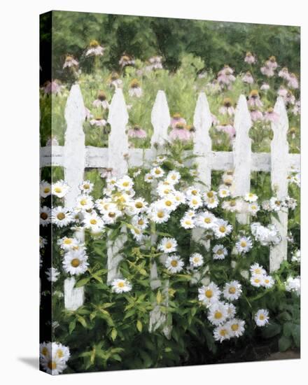Picket Fence - Pretty-Mark Chandon-Stretched Canvas