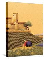 Picking a Bouquet-Lowell Herrero-Stretched Canvas