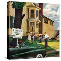 "Picking a Puppy", September 30, 1950-Stevan Dohanos-Stretched Canvas