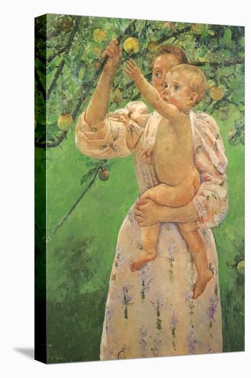 Picking an Apple, 1893-Mary Cassatt-Stretched Canvas