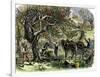 Picking Apples, a Farm Scene Near Pride's Bridge, Maine, c.1800-null-Framed Giclee Print