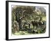 Picking Apples, a Farm Scene Near Pride's Bridge, Maine, c.1800-null-Framed Giclee Print