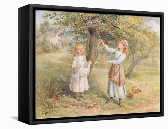 Picking Apples-Samuel Mccloy-Framed Stretched Canvas