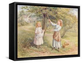 Picking Apples-Samuel Mccloy-Framed Stretched Canvas