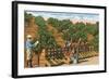 Picking Avocados, San Diego County, California-null-Framed Art Print