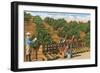 Picking Avocados, San Diego County, California-null-Framed Art Print