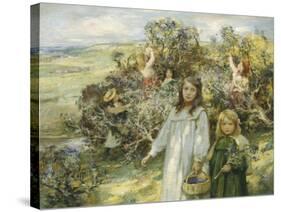 Picking Blackberries-William Mcgeorge-Stretched Canvas