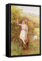 Picking Blossom-William Affleck-Framed Stretched Canvas