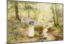 Picking Bluebells-Ernest Walbourn-Mounted Giclee Print