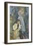 Picking Cherries, 1891-Berthe Morisot-Framed Giclee Print