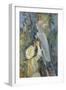 Picking Cherries, 1891-Berthe Morisot-Framed Giclee Print