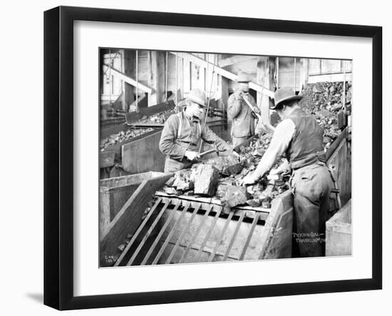 Picking Coal, Franklin Mine, Circa 1902-Asahel Curtis-Framed Giclee Print