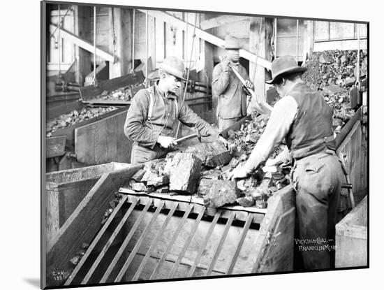 Picking Coal, Franklin Mine, Circa 1902-Asahel Curtis-Mounted Giclee Print