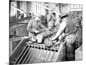 Picking Coal, Franklin Mine, Circa 1902-Asahel Curtis-Mounted Giclee Print