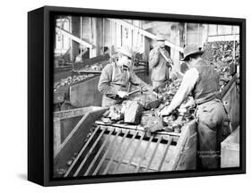 Picking Coal, Franklin Mine, Circa 1902-Asahel Curtis-Framed Stretched Canvas
