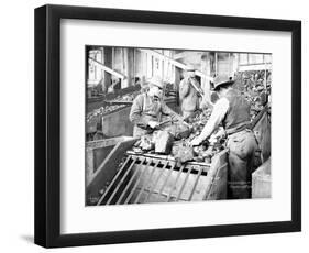 Picking Coal, Franklin Mine, Circa 1902-Asahel Curtis-Framed Premium Giclee Print