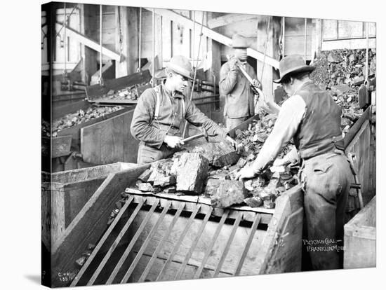 Picking Coal, Franklin Mine, Circa 1902-Asahel Curtis-Stretched Canvas