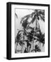 Picking Coconuts-null-Framed Photographic Print