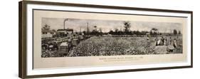 Picking Cotton in GA 1915-Mindy Sommers-Framed Premium Giclee Print