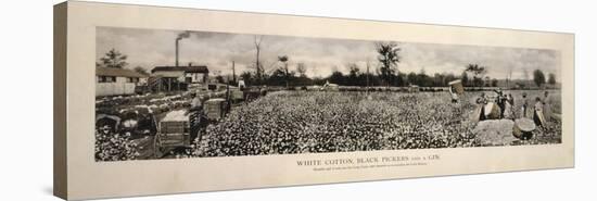 Picking Cotton in GA 1915-Mindy Sommers-Stretched Canvas