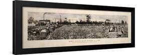 Picking Cotton in GA 1915-Mindy Sommers-Framed Giclee Print