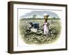 Picking Cotton on a Plantation in the Deep South, c.1800-null-Framed Giclee Print