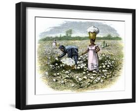 Picking Cotton on a Plantation in the Deep South, c.1800-null-Framed Giclee Print